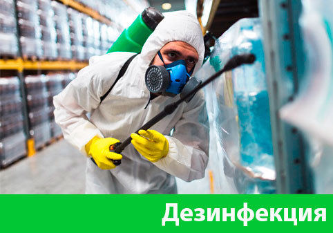 Дезинфекция в городе Балашиха