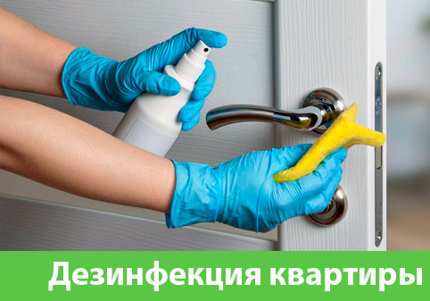 Дезинфекция квартиры в городе Балашиха