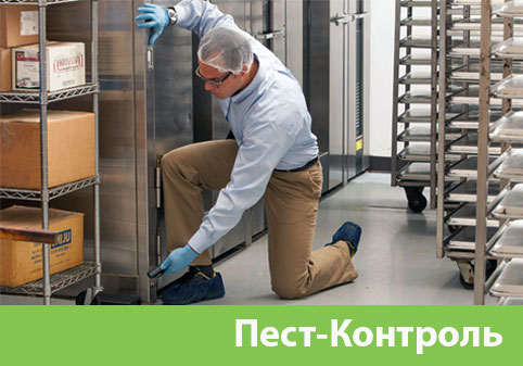 Пэст-Контроль в городе Балашиха