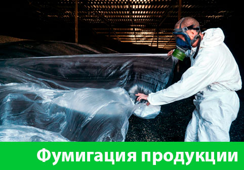 Фумигация продукции в городе Балашиха